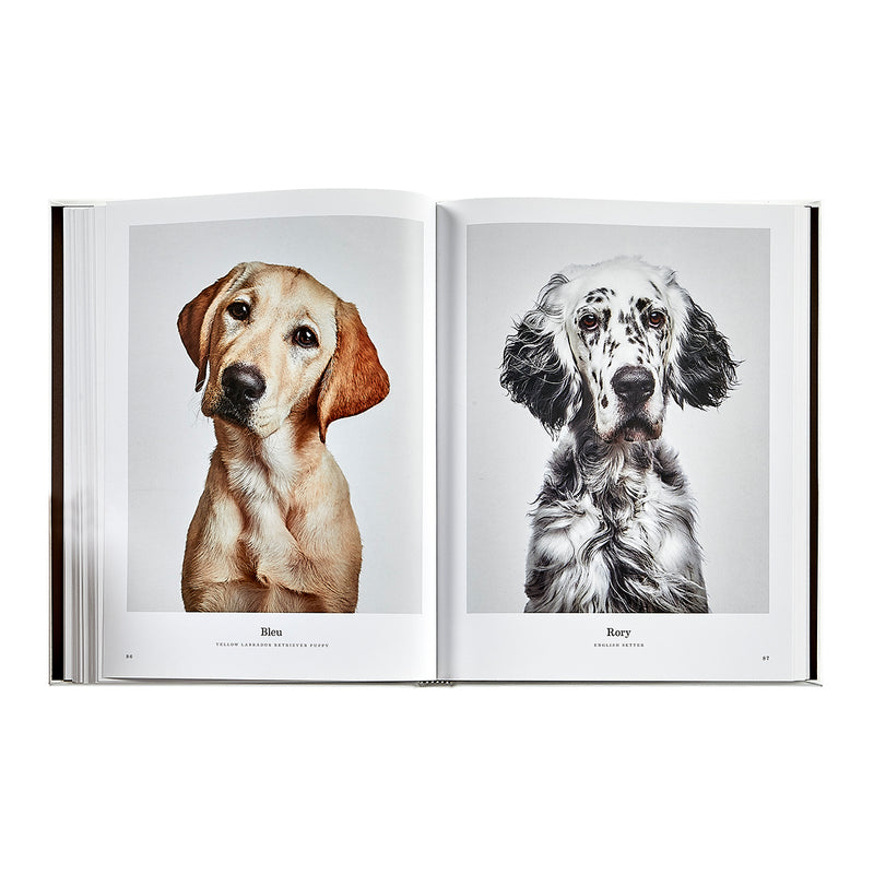 Good Dog / Hand Bound Leather Book