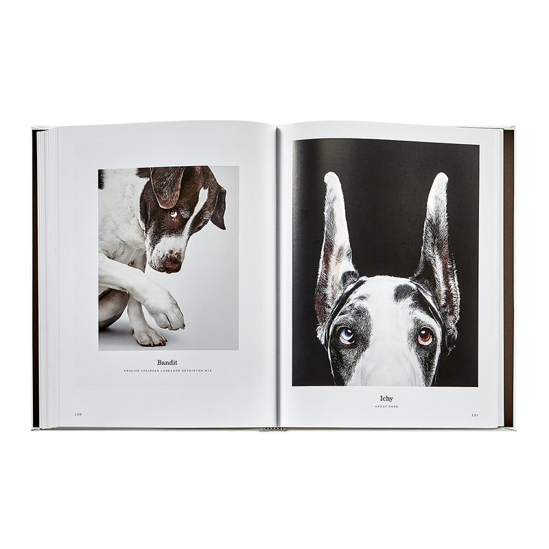 Good Dog / Hand Bound Leather Book