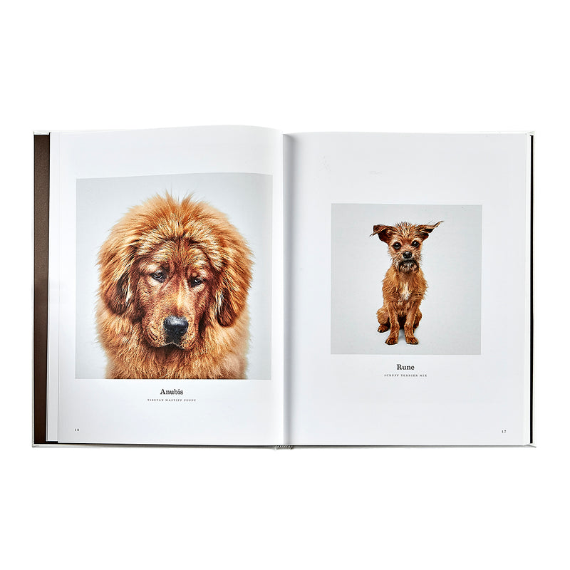 Good Dog / Hand Bound Leather Book