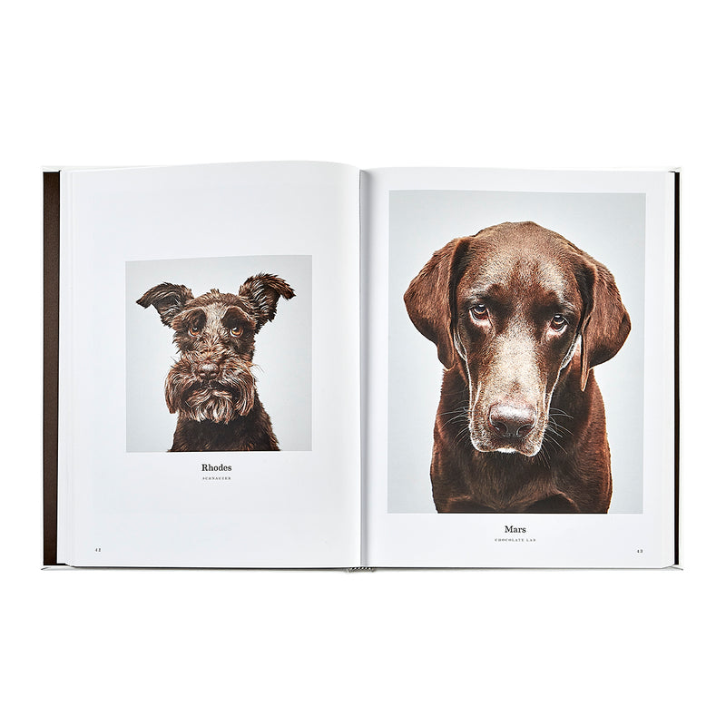 Good Dog / Hand Bound Leather Book