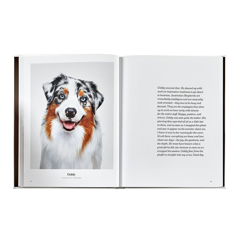 Good Dog / Hand Bound Leather Book