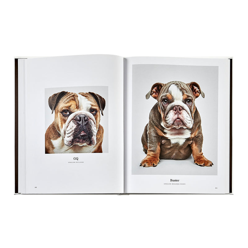 Good Dog / Hand Bound Leather Book